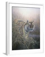 Tiger at Dawn-Jeremy Paul-Framed Giclee Print