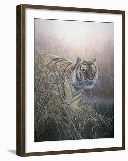 Tiger at Dawn-Jeremy Paul-Framed Giclee Print