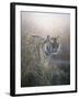 Tiger at Dawn-Jeremy Paul-Framed Giclee Print