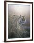 Tiger at Dawn-Jeremy Paul-Framed Giclee Print