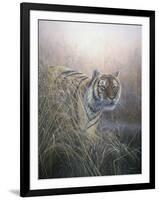 Tiger at Dawn-Jeremy Paul-Framed Giclee Print