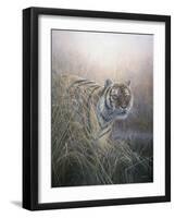 Tiger at Dawn-Jeremy Paul-Framed Giclee Print