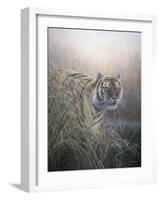 Tiger at Dawn-Jeremy Paul-Framed Giclee Print