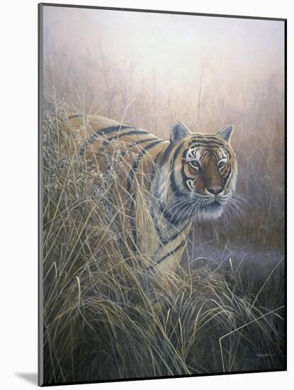 Tiger at Dawn-Jeremy Paul-Mounted Giclee Print