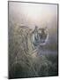 Tiger at Dawn-Jeremy Paul-Mounted Giclee Print