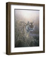 Tiger at Dawn-Jeremy Paul-Framed Giclee Print