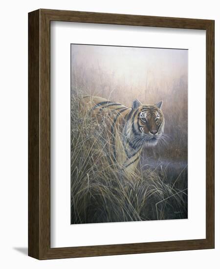 Tiger at Dawn-Jeremy Paul-Framed Giclee Print