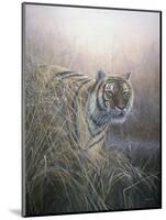 Tiger at Dawn-Jeremy Paul-Mounted Giclee Print