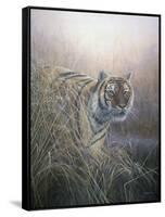 Tiger at Dawn-Jeremy Paul-Framed Stretched Canvas