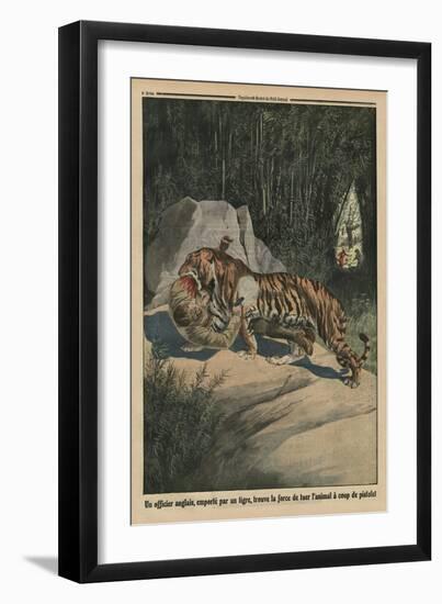 Tiger Attacking a British Officer, Back Cover Illustration from 'Le Petit Journal'-French-Framed Premium Giclee Print