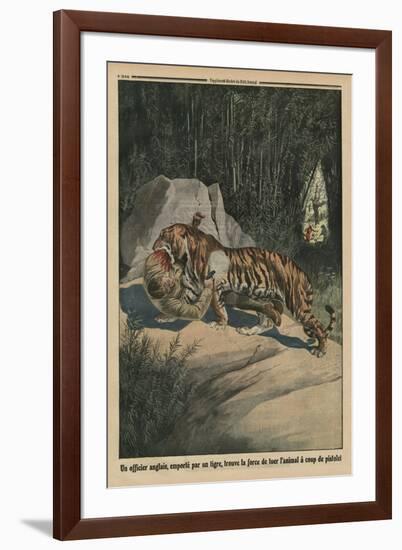 Tiger Attacking a British Officer, Back Cover Illustration from 'Le Petit Journal'-French-Framed Giclee Print