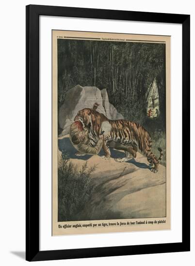 Tiger Attacking a British Officer, Back Cover Illustration from 'Le Petit Journal'-French-Framed Giclee Print