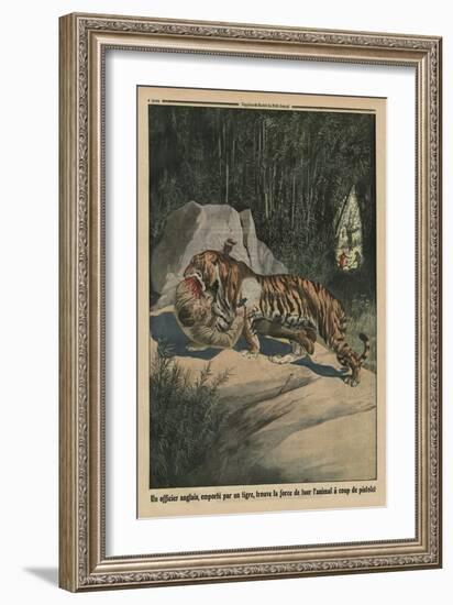 Tiger Attacking a British Officer, Back Cover Illustration from 'Le Petit Journal'-French-Framed Giclee Print