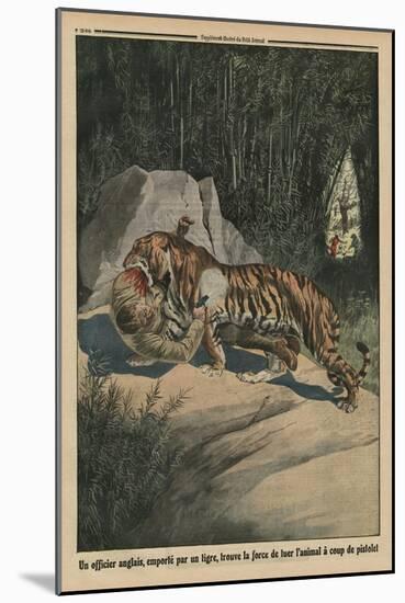 Tiger Attacking a British Officer, Back Cover Illustration from 'Le Petit Journal'-French-Mounted Giclee Print