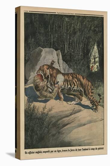 Tiger Attacking a British Officer, Back Cover Illustration from 'Le Petit Journal'-French-Stretched Canvas