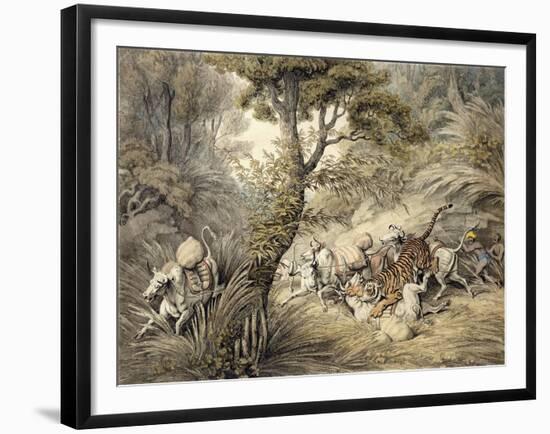 Tiger Attacking a Cattle Train-Samuel Howitt-Framed Giclee Print