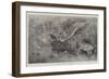 Tiger Attacking Nylghaie in their Native Jungle-Harrington Bird-Framed Giclee Print