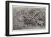 Tiger Attacking Nylghaie in their Native Jungle-Harrington Bird-Framed Giclee Print