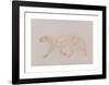 Tiger Body, Lateral View-George Stubbs-Framed Premium Giclee Print