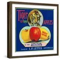 Tiger Brand Apple Label, Watsonville, California-Lantern Press-Framed Art Print