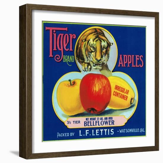 Tiger Brand Apple Label, Watsonville, California-Lantern Press-Framed Art Print