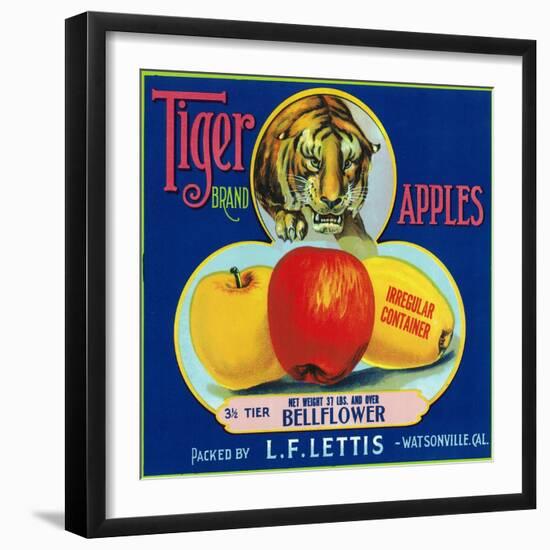 Tiger Brand Apple Label, Watsonville, California-Lantern Press-Framed Art Print