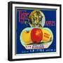 Tiger Brand Apple Label, Watsonville, California-Lantern Press-Framed Art Print