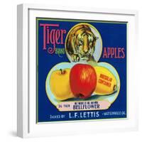 Tiger Brand Apple Label, Watsonville, California-Lantern Press-Framed Art Print