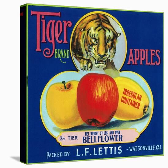 Tiger Brand Apple Label, Watsonville, California-Lantern Press-Stretched Canvas