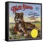 Tiger Brand - Colton, California - Citrus Crate Label-Lantern Press-Framed Stretched Canvas
