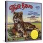 Tiger Brand - Colton, California - Citrus Crate Label-Lantern Press-Stretched Canvas