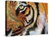 Tiger Burning Bright-Graeme Stevenson-Stretched Canvas