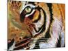 Tiger Burning Bright-Graeme Stevenson-Mounted Giclee Print