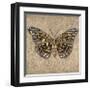 Tiger Butterfly-Jennifer Brice-Framed Giclee Print