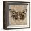 Tiger Butterfly-Jennifer Brice-Framed Giclee Print