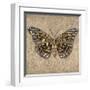 Tiger Butterfly-Jennifer Brice-Framed Giclee Print