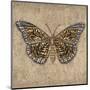 Tiger Butterfly-Jennifer Brice-Mounted Giclee Print