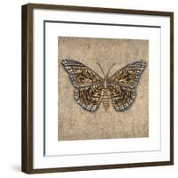 Tiger Butterfly-Jennifer Brice-Framed Giclee Print