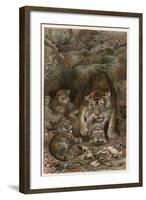 Tiger by Alfred Edmund Brehm-Stefano Bianchetti-Framed Giclee Print