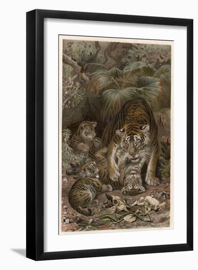 Tiger by Alfred Edmund Brehm-Stefano Bianchetti-Framed Giclee Print