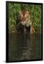 Tiger Casting Reflection in Pond Water as it Stalks from Bamboo Thicket (Captive)-Lynn M^ Stone-Framed Premium Photographic Print