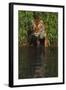 Tiger Casting Reflection in Pond Water as it Stalks from Bamboo Thicket (Captive)-Lynn M^ Stone-Framed Photographic Print