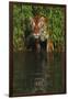 Tiger Casting Reflection in Pond Water as it Stalks from Bamboo Thicket (Captive)-Lynn M^ Stone-Framed Photographic Print