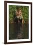 Tiger Casting Reflection in Pond Water as it Stalks from Bamboo Thicket (Captive)-Lynn M^ Stone-Framed Photographic Print