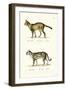 Tiger Cat, 1824-Karl Joseph Brodtmann-Framed Giclee Print