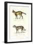 Tiger Cat, 1824-Karl Joseph Brodtmann-Framed Giclee Print