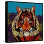 Tiger Chief Blue-Sharon Turner-Framed Stretched Canvas