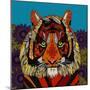 Tiger Chief Blue-Sharon Turner-Mounted Art Print