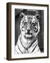 Tiger Close-Up-null-Framed Photographic Print