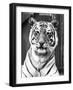 Tiger Close-Up-null-Framed Photographic Print